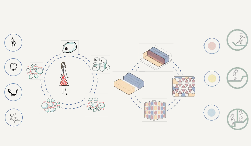 Cell concept and cellular spatial strategy